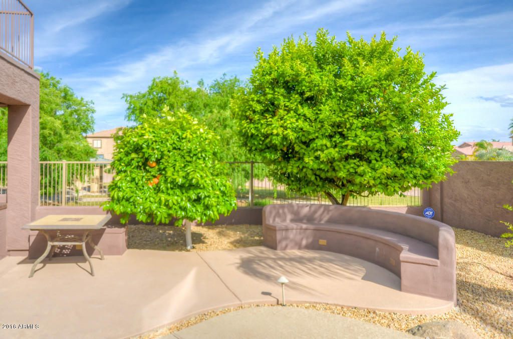 3683 East Del Rio Street Gilbert, AZ 85295 - Photo 71 of 96 Rear