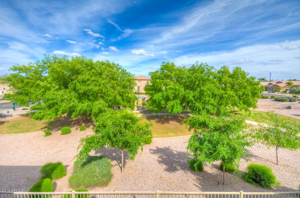 3683 East Del Rio Street Gilbert, AZ 85295 - Photo 87 of 96 Rear