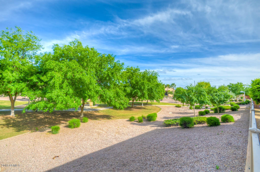 3683 East Del Rio Street Gilbert, AZ 85295 - Photo 89 of 96 Rear