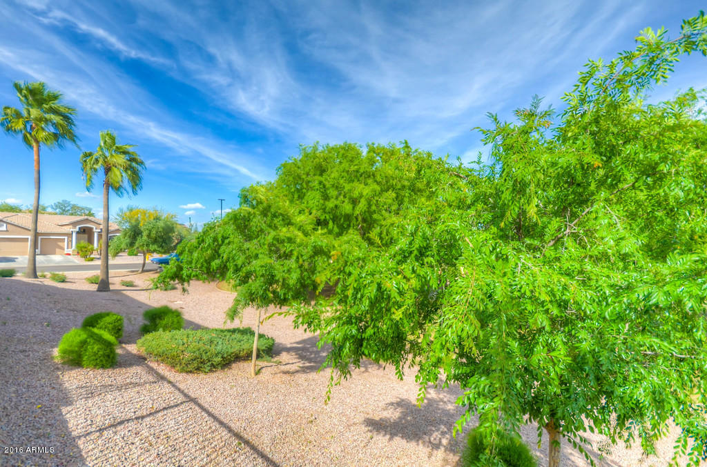 3683 East Del Rio Street Gilbert, AZ 85295 - Photo 90 of 96 Rear