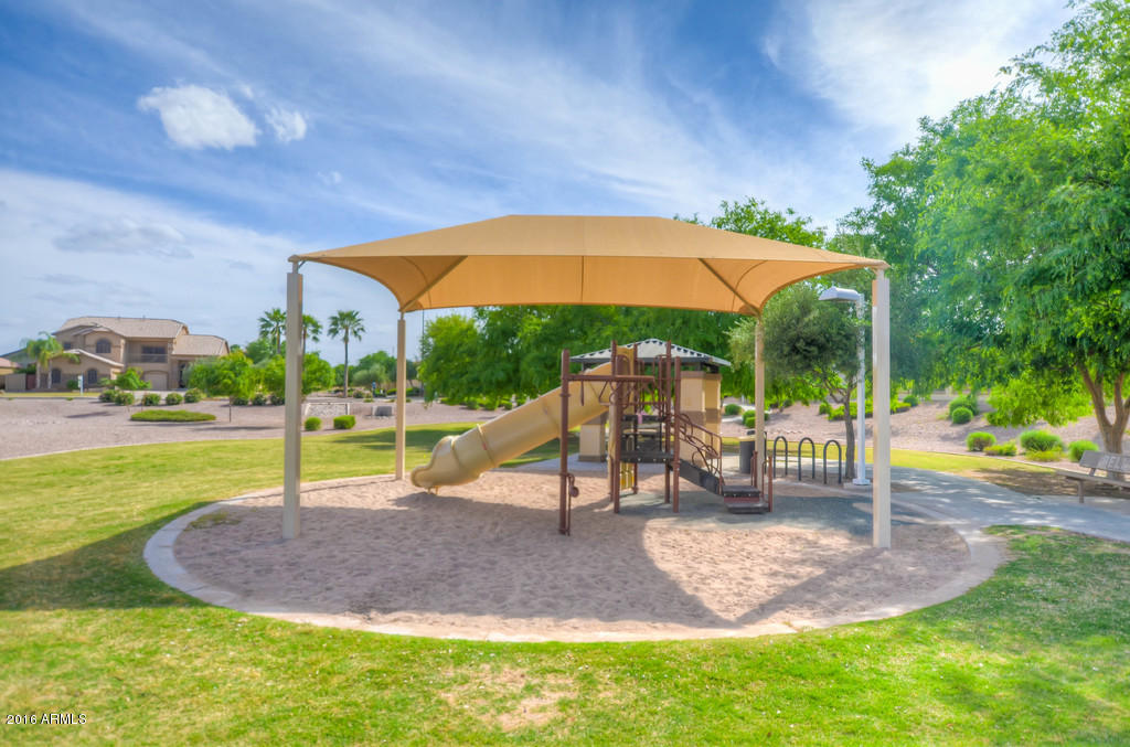 3683 East Del Rio Street Gilbert, AZ 85295 - Photo 9 of 96 Community