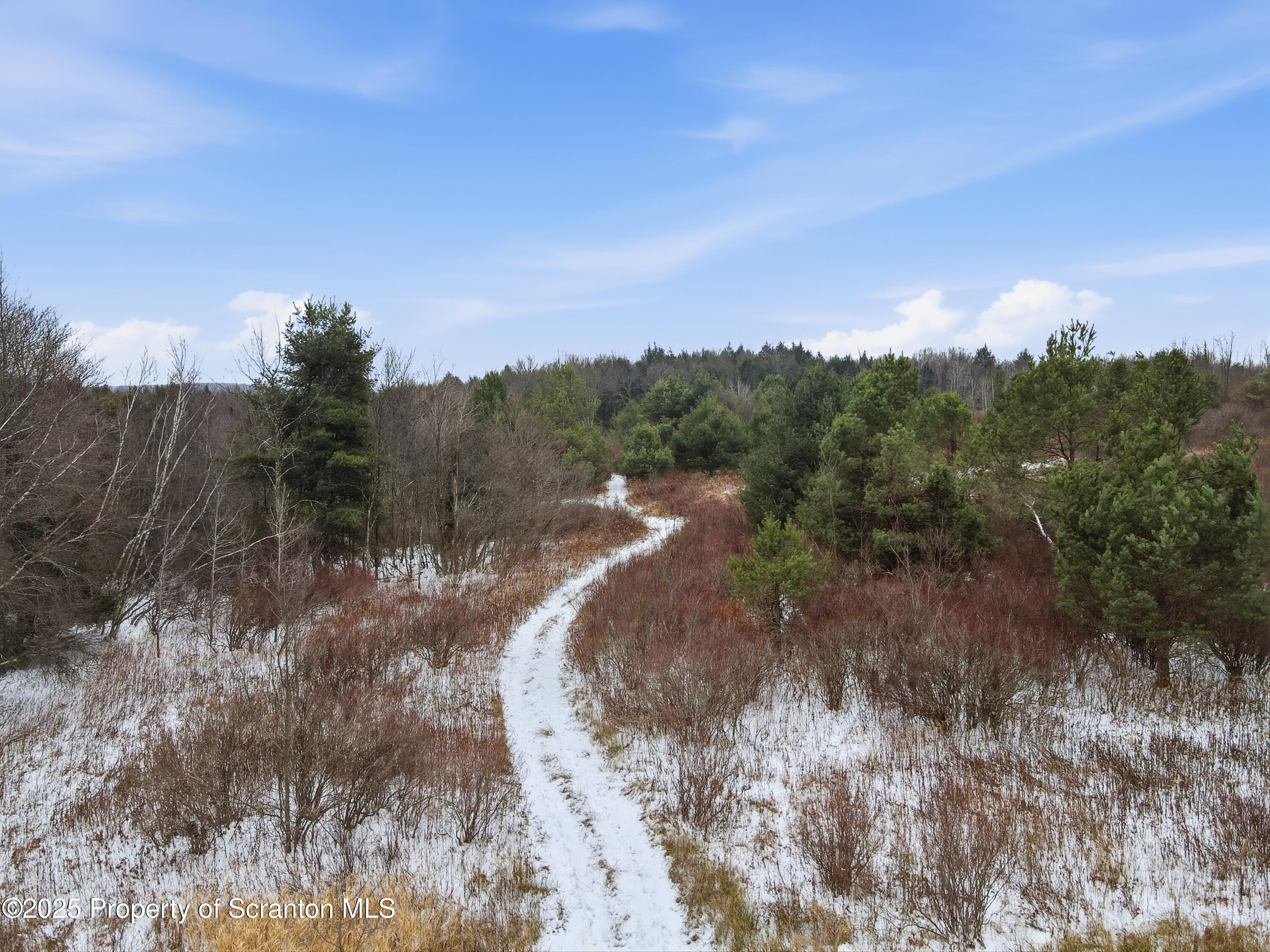 247 State Route Carbondale, PA 18407 - Photo 17 of 20 a view of a town with trees around