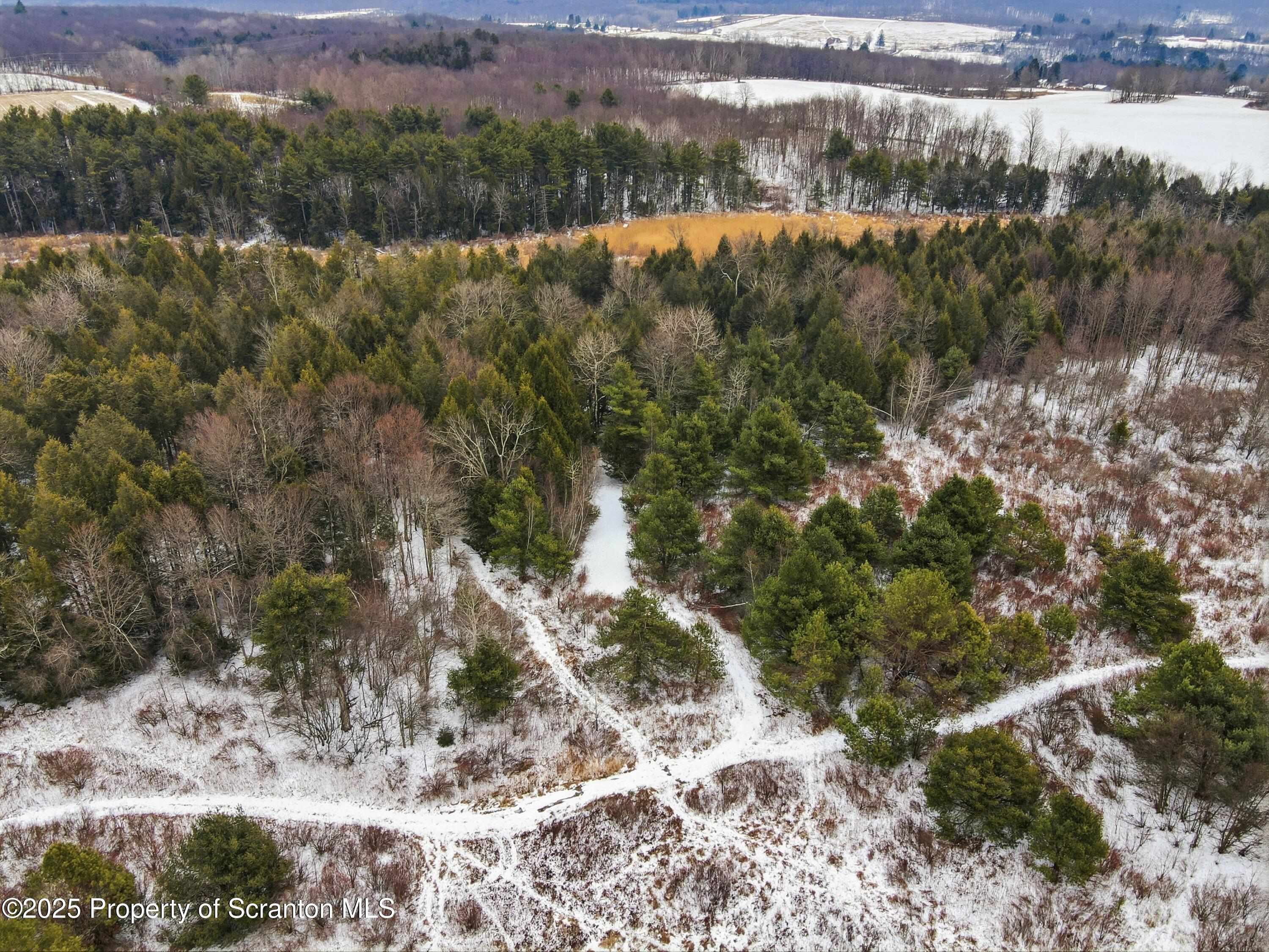 247 State Route Carbondale, PA 18407 - Photo 20 of 20 a view of a yard with a lake view