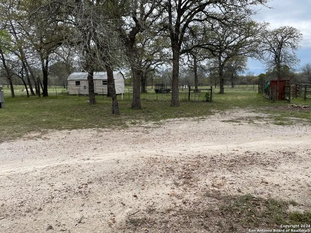 a view of a tree in the middle of a yard