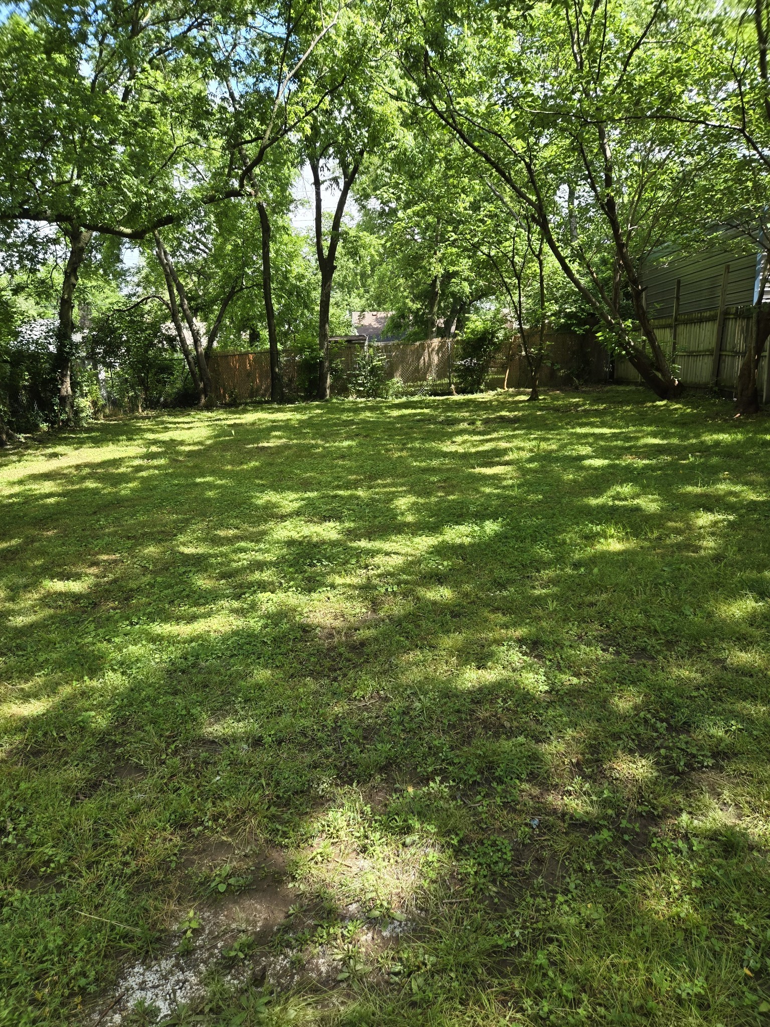 239 Elm Street Madison, TN 37115 - Photo 6 of 6
