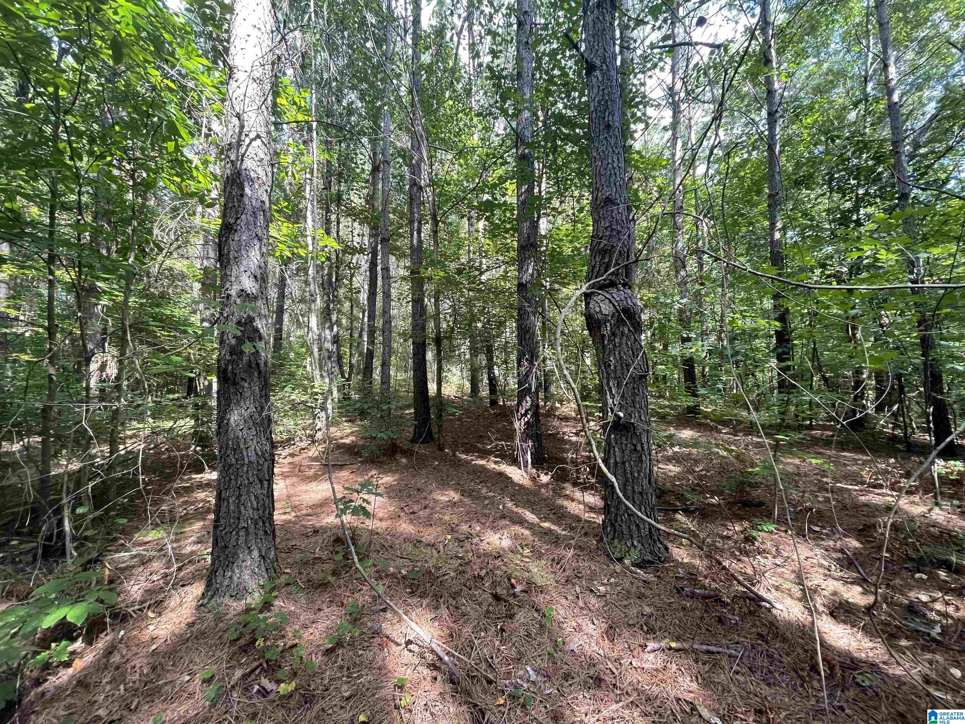 0 County Road 689, Unit 1 Ranburne, AL 36273 - Photo 57 of 69