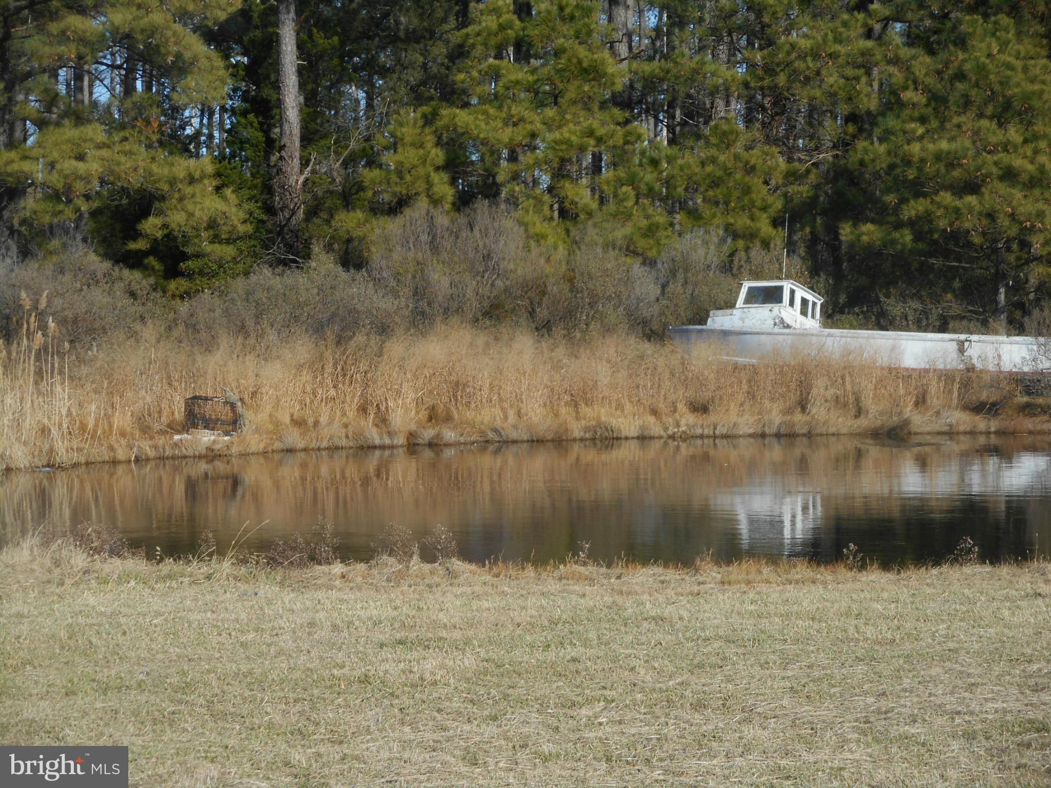 2313 Wingate Bishops Head Road Wingate, MD 21675 - Photo 15 of 18 a view of a lake view