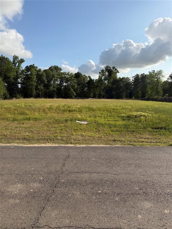 2130 Rebel Loop Lake Charles, LA 70611 - Photo 2 of 3