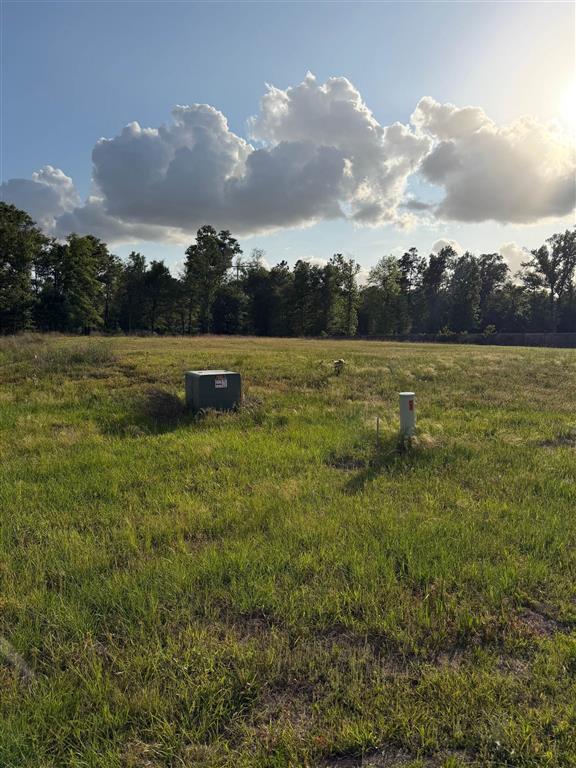 2130 Rebel Loop Lake Charles, LA 70611 - Photo 3 of 3