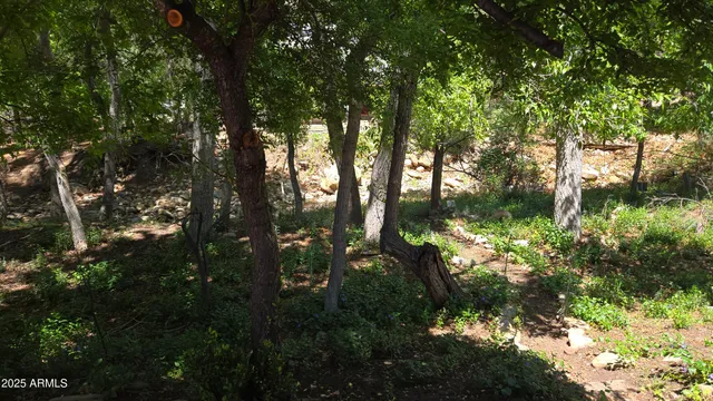 $419,000 | 4818 Sycamore Drive, Pine, AZ 85544