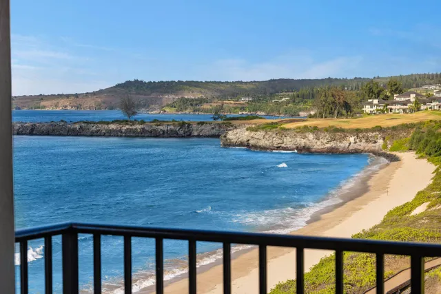 a balcony with furniture and a potted plant