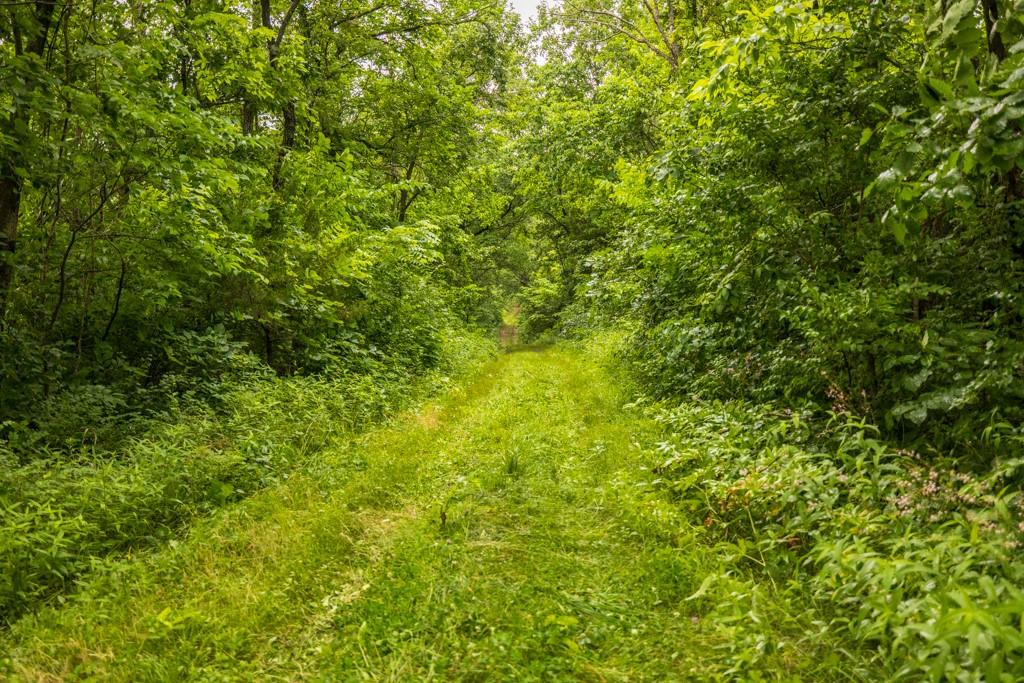Tbd Norris Road Rayville, MO 64084 - Photo 21 of 35