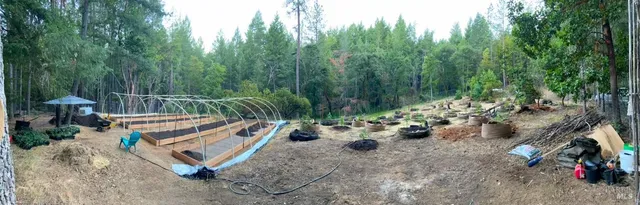 a view of a two chairs in the backyard
