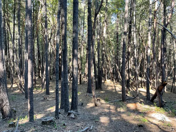 $99,000 | 1901 Ten Mile Creek Road, Laytonville, CA 95454