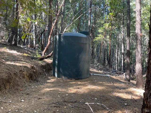 a view of outdoor space and yard