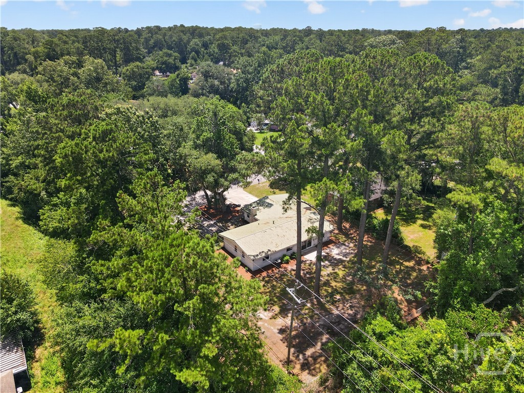 12401 Sunnybrook Road Savannah, GA 31419 - Photo 48 of 53 Gallery Image 48