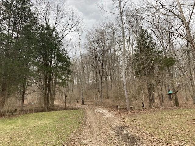 9522 Chesterville Road Moores Hill, IN 47032 - Photo 1 of 13 Gallery Image 1