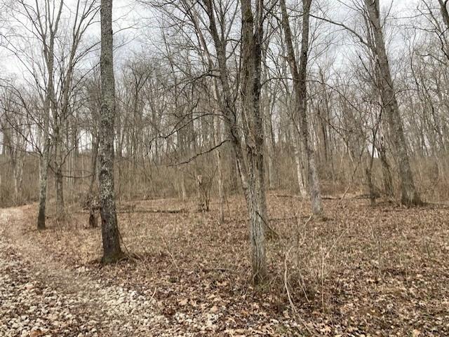 9522 Chesterville Road Moores Hill, IN 47032 - Photo 2 of 13 Gallery Image 2