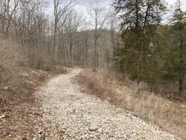 9522 Chesterville Road Moores Hill, IN 47032 - Photo 3 of 13 Gallery Image 3