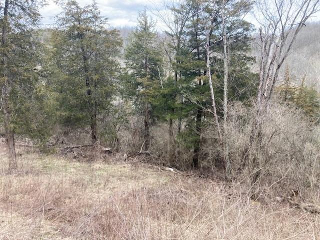 9522 Chesterville Road Moores Hill, IN 47032 - Photo 5 of 13 Gallery Image 5