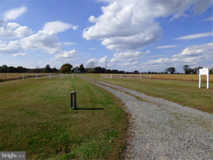 811 Carpenter Bridge Road Harrington, DE 19952 - Photo 1 of 25 Gallery Image 1