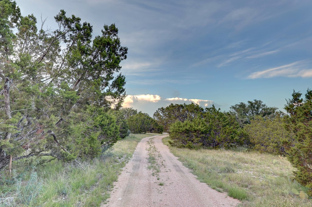 2998 Back Country Road Menard, TX 76859 - Photo 31 of 53