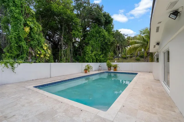 a view of a backyard with plants and palm tree