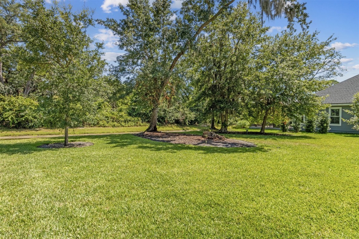 2930 Riverbend Walk Fernandina Beach, FL 32034 - Photo 55 of 60 a view of a yard with a slide