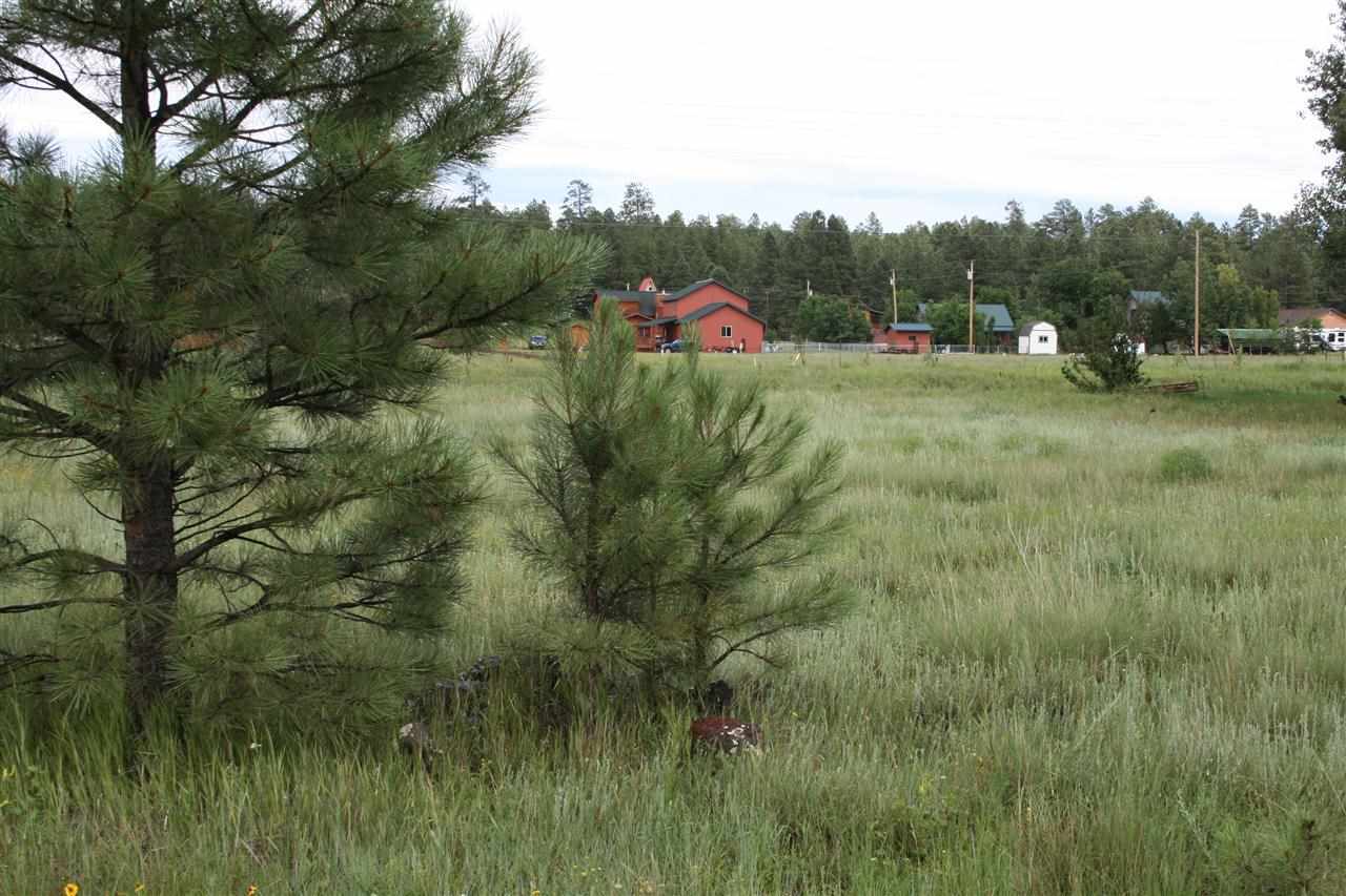 607 North Skylane Road Pinetop, AZ 85935 - Photo 1 of 2