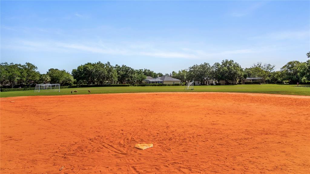 693 Stonefield Loop Lake Mary, FL 32746 - Photo 59 of 69