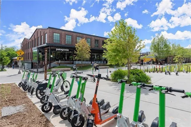 a front view of a house with plants and trees