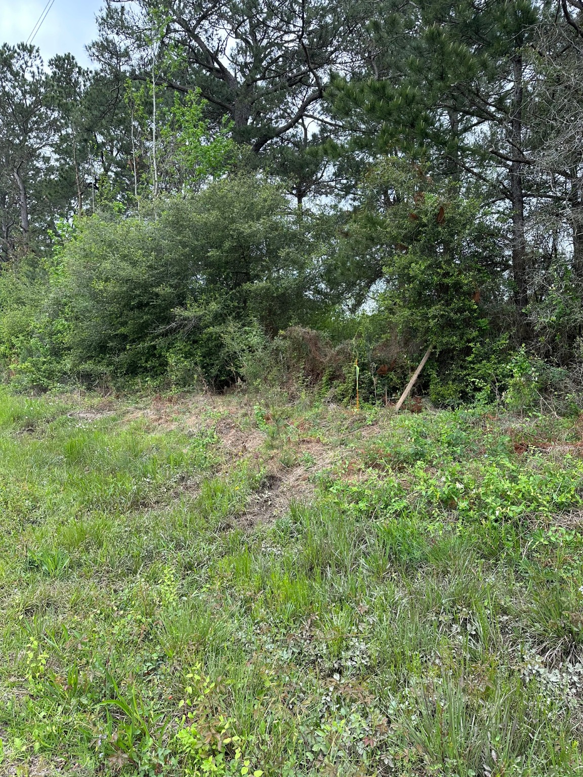 25882 Interstate 10 Winnie, TX 77665 - Photo 11 of 13 a view of outdoor space and green field
