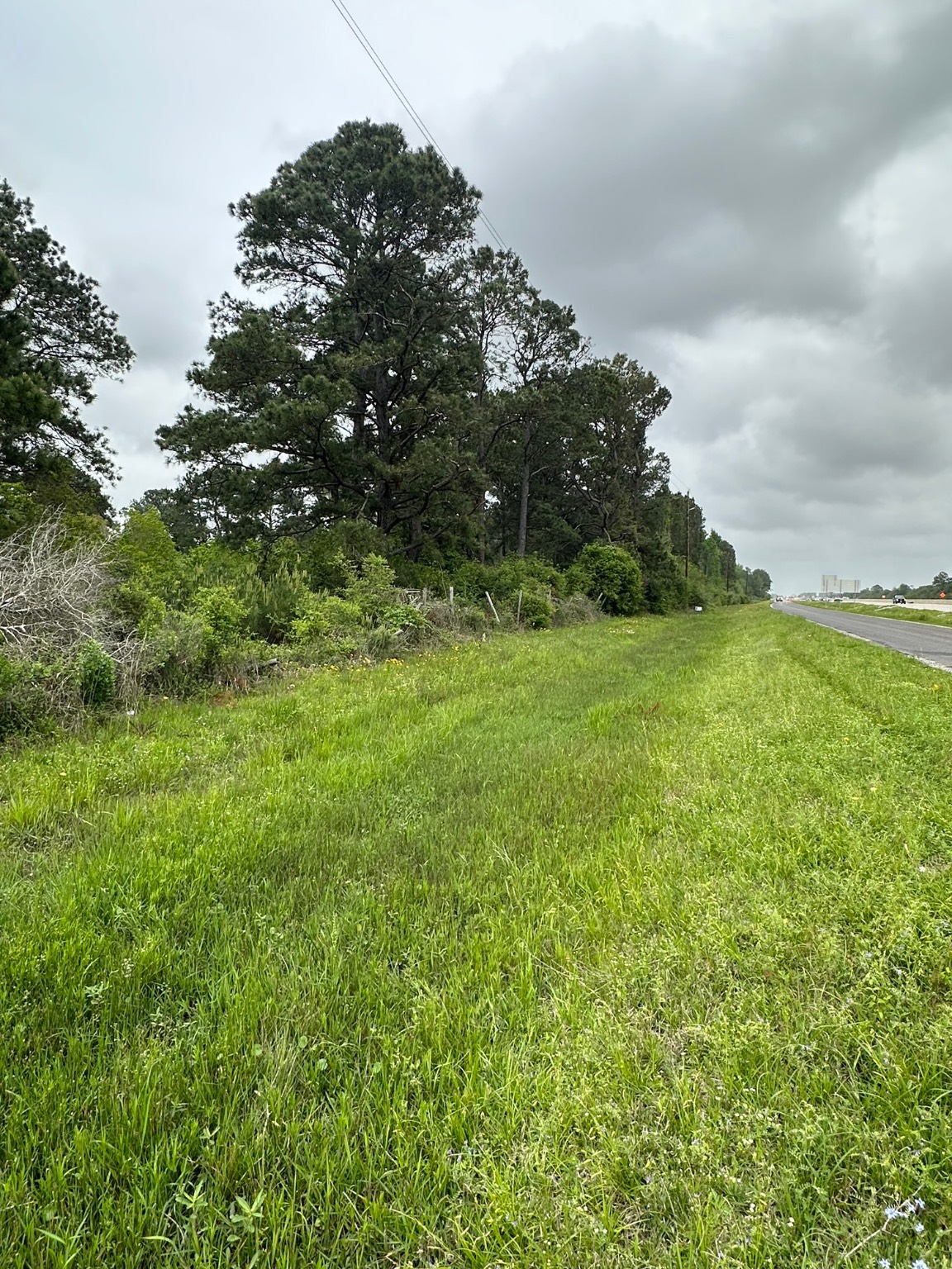 25882 Interstate 10 Winnie, TX 77665 - Photo 5 of 13 a backyard of a house with lots of green space