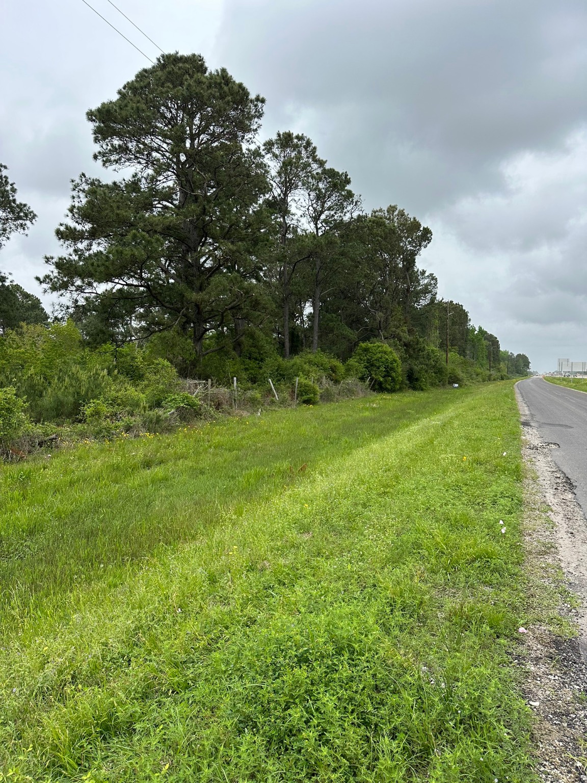 25882 Interstate 10 Winnie, TX 77665 - Photo 9 of 13 a view of a lush green space