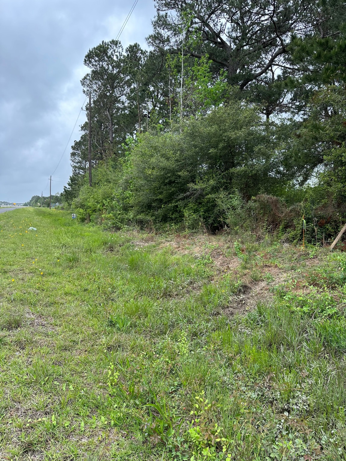 25882 Interstate 10 Winnie, TX 77665 - Photo 10 of 13 a view of a green field with lots of bushes