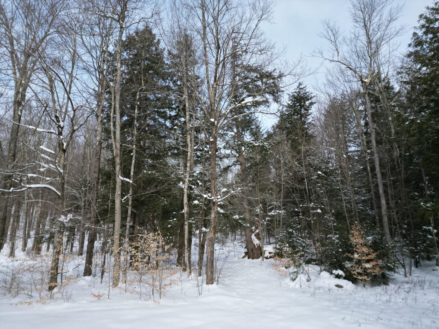 63 Potter Road Fairfax, VT 05454 - Photo 3 of 8