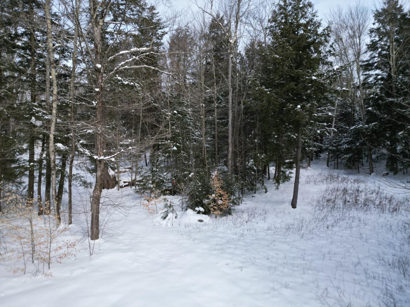 63 Potter Road Fairfax, VT 05454 - Photo 5 of 8