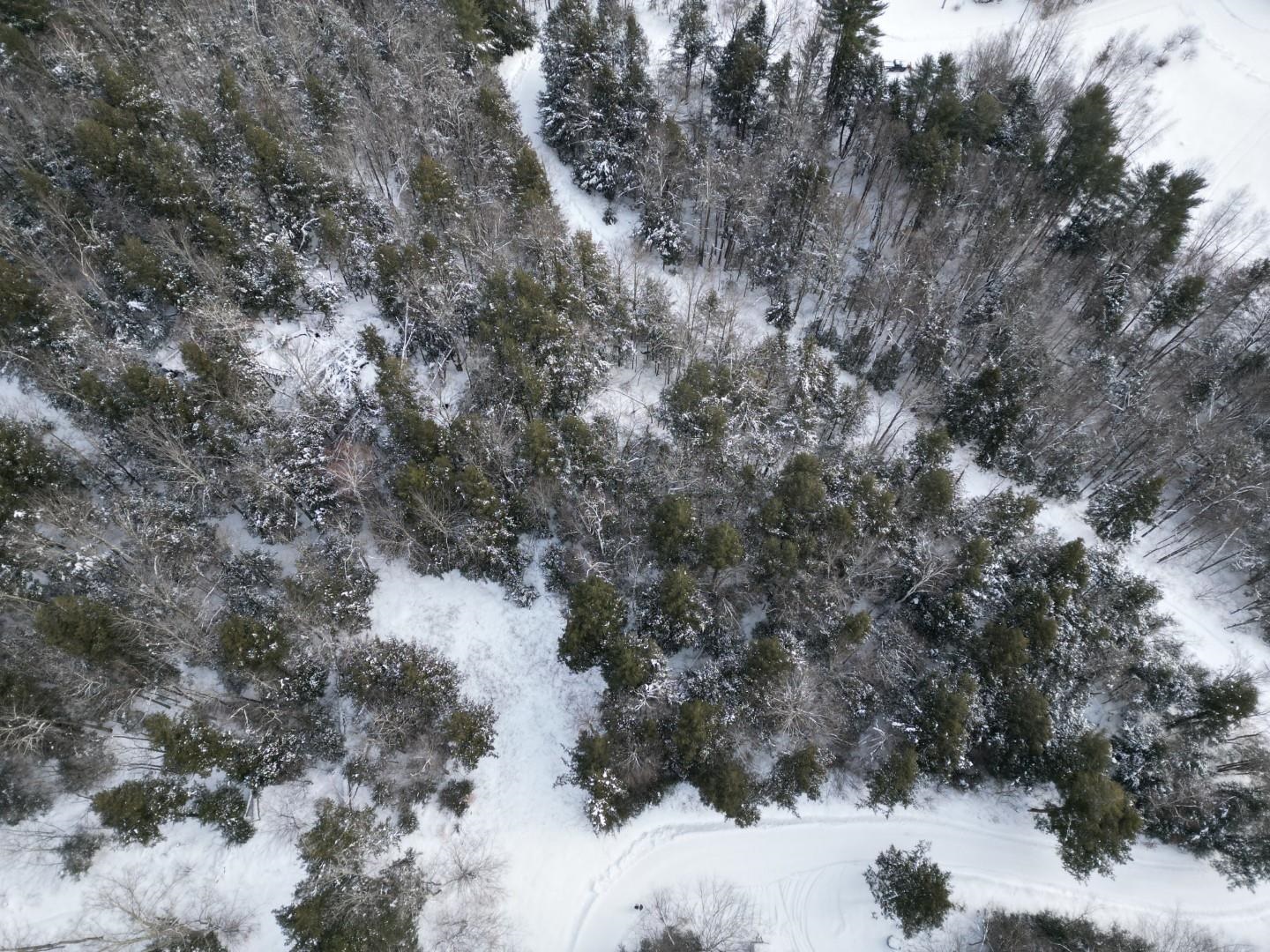 63 Potter Road Fairfax, VT 05454 - Photo 6 of 8