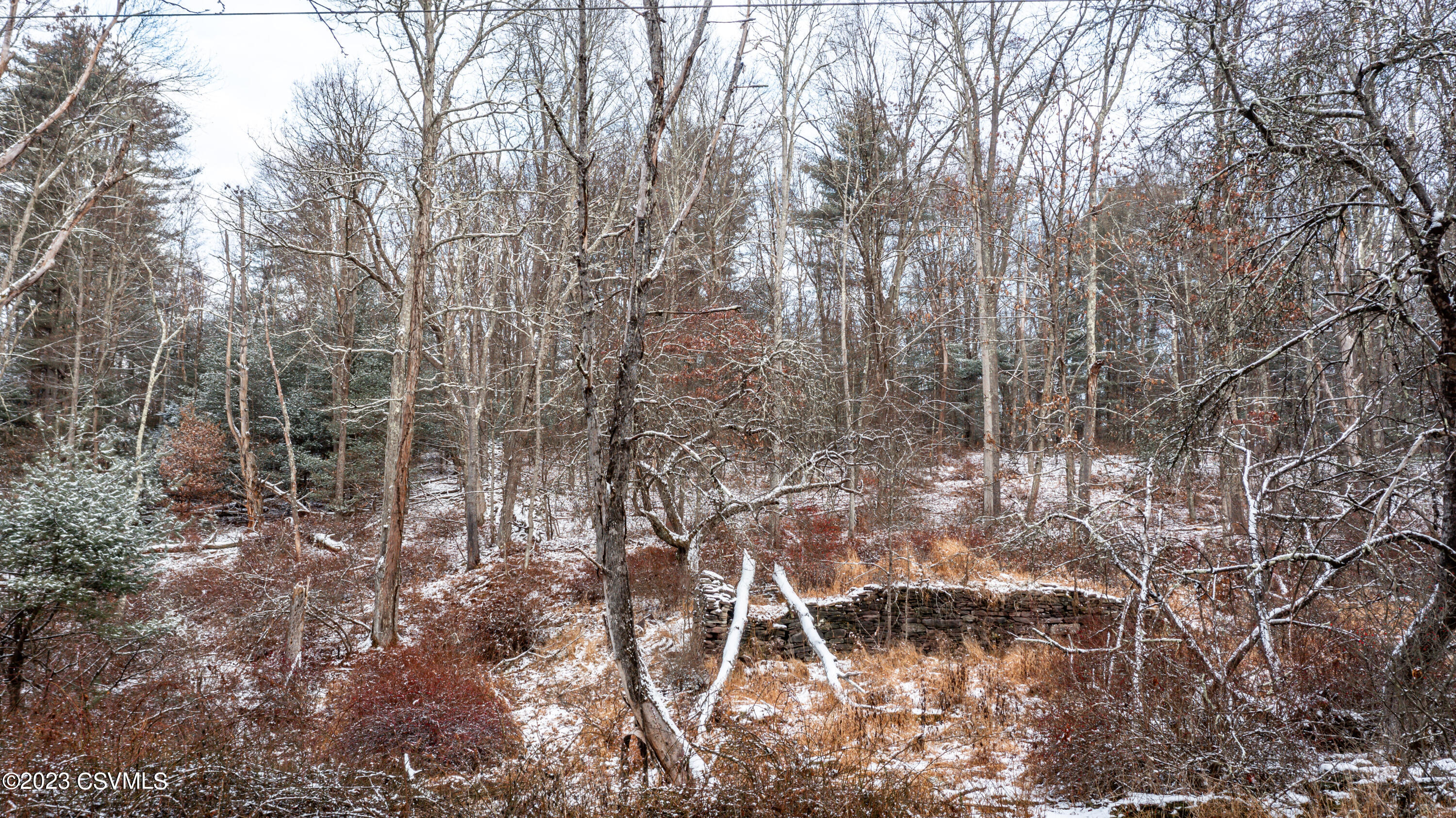 Parks Road Benton, PA 17814 - Photo 19 of 25