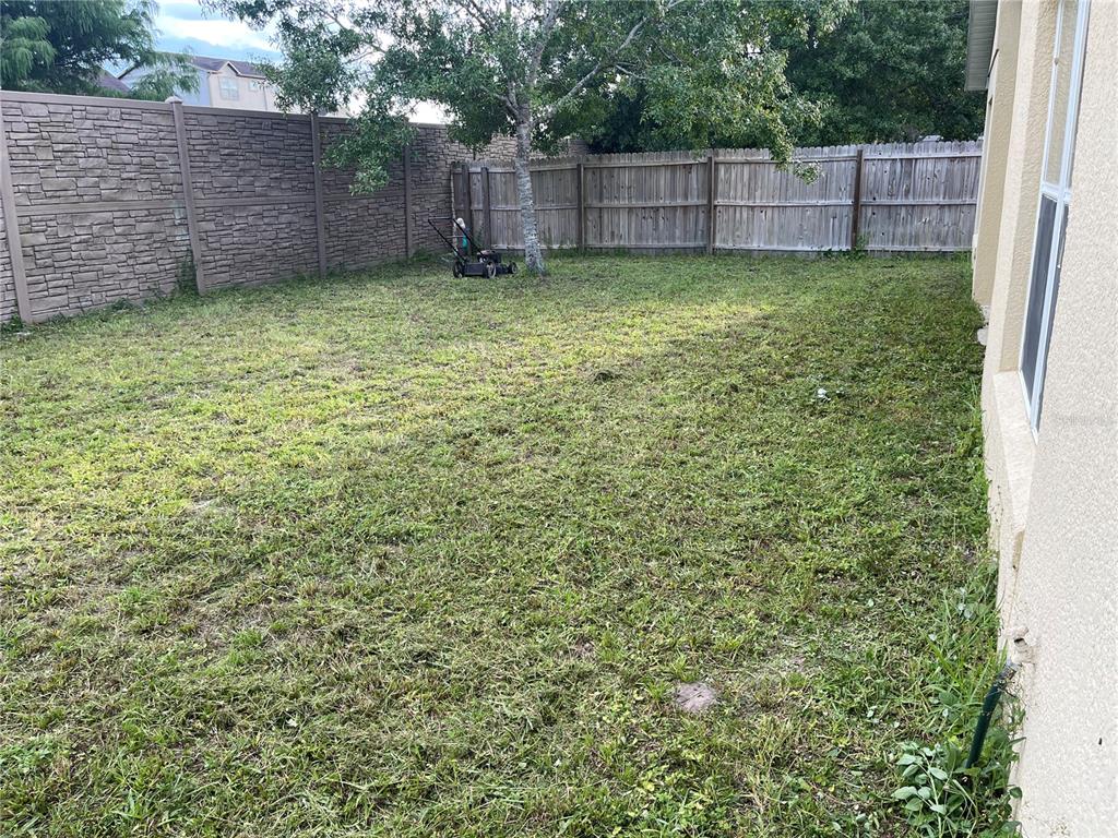 11156 Rouse Run Circle Orlando, FL 32817 - Photo 13 of 15 a view of a backyard with a tree
