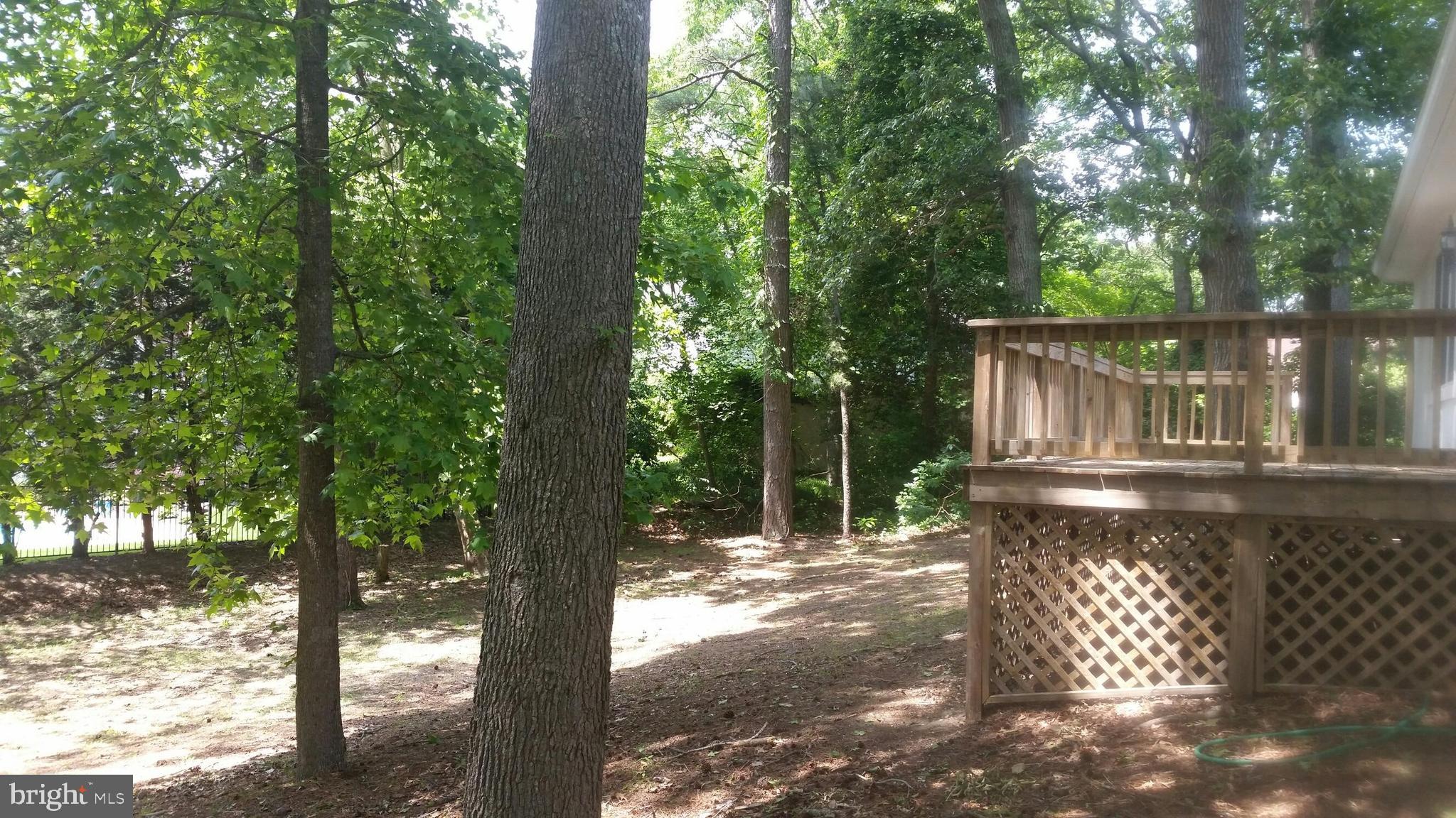1136 Riverside Drive Salisbury, MD 21801 - Photo 27 of 27 Back Deck Overlooking Natural Backyard Setting