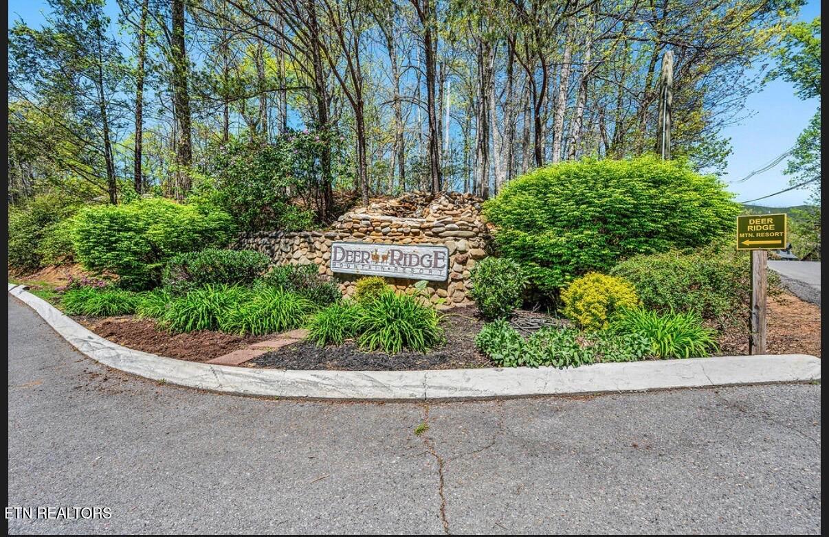 3710 Weber Road, Unit 105C Gatlinburg, TN 37738 - Photo 12 of 20 IMG_4481