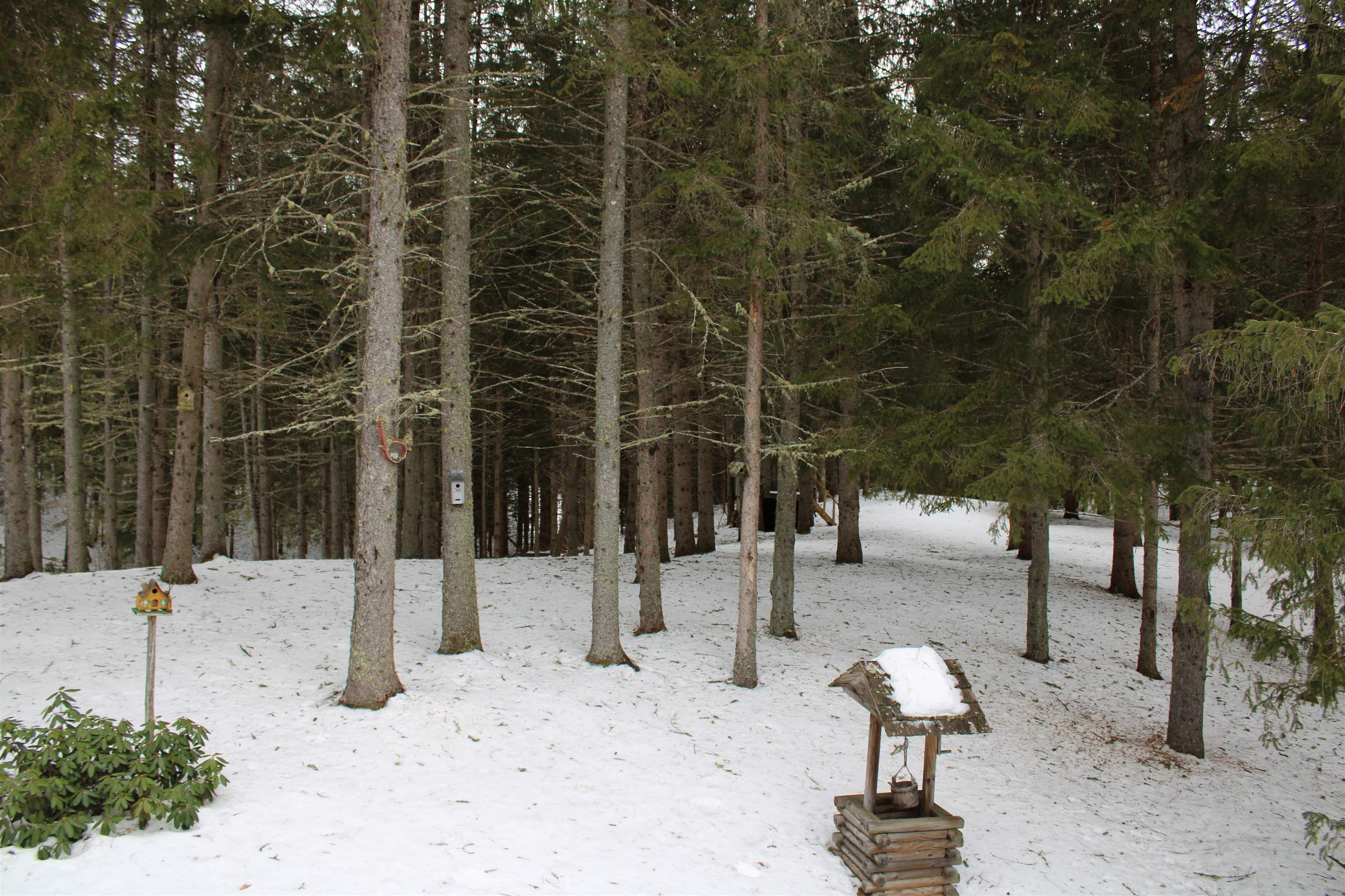 1327 Dry Pond Road Glover, VT 05839 - Photo 24 of 40