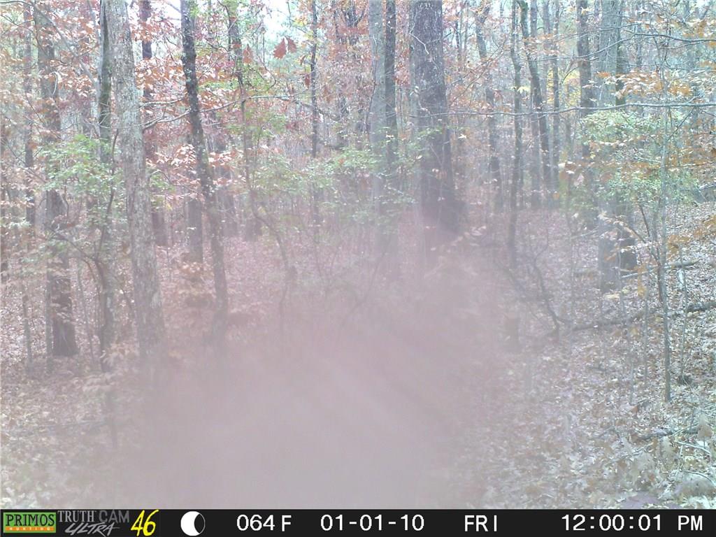 5.4 North Flat Rock Road Douglasville, GA 30134 - Photo 1 of 1 Gallery Image 1