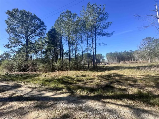 $55,000 | Tbd Tbd Don Drive, Jennings, LA 70546
