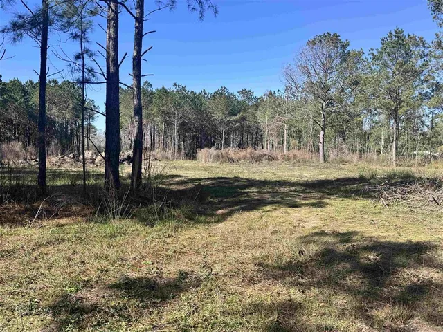 $55,000 | Tbd Tbd Don Drive, Jennings, LA 70546