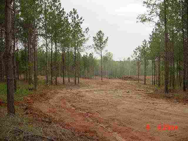 0 Bear Creek Road Anderson, SC 29621 - Photo 3 of 3