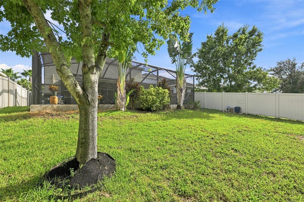11156 Spring Point Circle Riverview, FL 33579 - Photo 38 of 53 Gallery Image 38