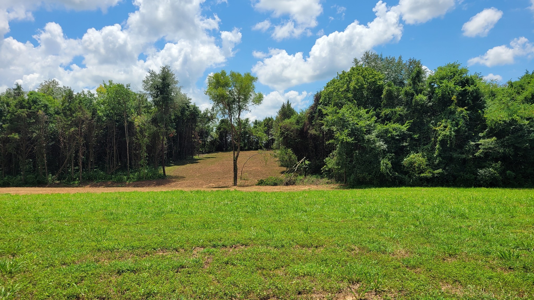 a white house with a big yard and large trees