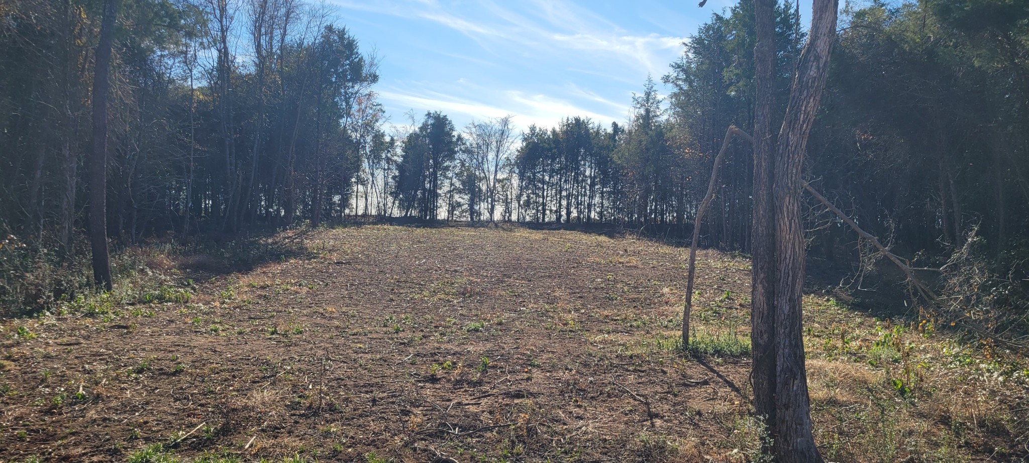 5 Mt Lebanon Church Road Shelbyville, TN 37160 - Photo 4 of 6 a view of a yard with large trees